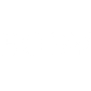 Media publication logo 2